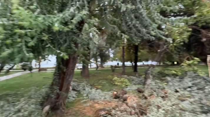 Moti i keq/ Stuhia e erës thyen pemët në Pogradec