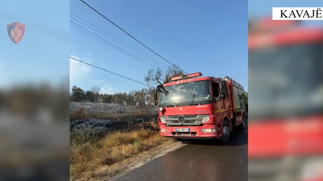 Arrestohet autori i zjarrit që shkatërroi sipërfaqe me pemë frutore në Kavajë