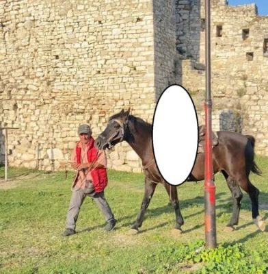 Vrau me thikë turistin për një kalë, arrestohet autori në Berat Vrau me thikë turistin për një kalë, arrestohet autori në Berat