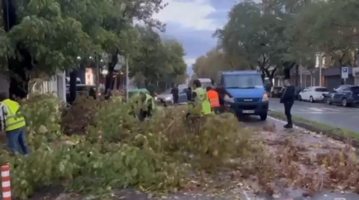 Era e fortë në Shkodër rrëzon pemët, bllokohet përkohësisht qarkullimi
