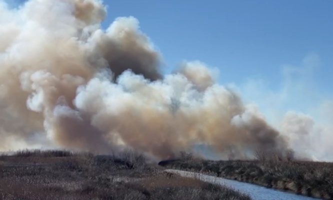 Zjarri përfshin zonën e Kunes në Shëngjin, era përhap flakët në disa drejtime