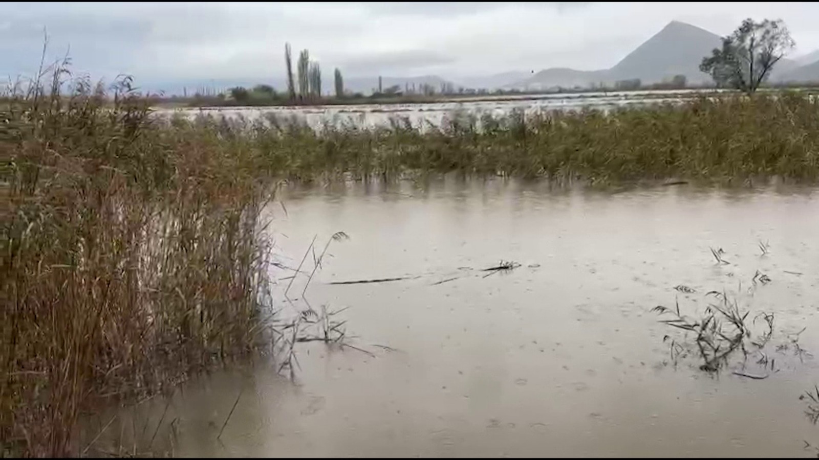 Përmbyten tokat bujqësore në Lezhë  fermerët janë të shqetësuar për dëmtimin e të mbjellave
