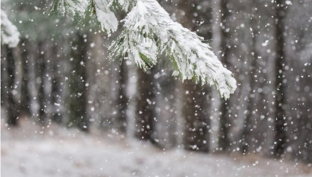 Moti i së martës  Reshje shiu dhe stuhi  dëborë në zonat malore