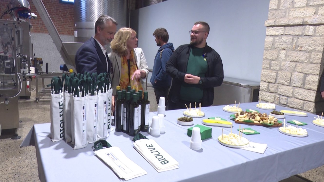 eksporti-i-vajit-te-ullirit-prodhimi-shqiptar-shkon-ne-disa-vende-te-europes-dhe-botes