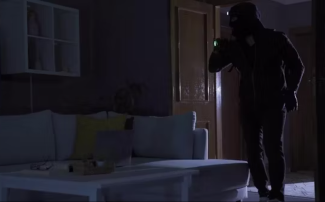 Hajduti i hyn në shtëpi, këngëtarja e famshme dhe nëna e saj e neutralizojnë dhe ia dorëzojnë policisë