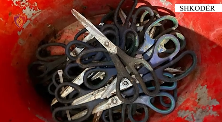 Zbulohet një ambient ku përpunohej dhe përgatitej kanabis për shitje, arrestohen 6 gra në Shkodër