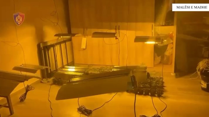 Malësi e Madhe/ Zbulohen dy ambiente të përshtatura për kultivimin e bimëve narkotike, arrestohet 22-vjeçari! E pëson dhe nëna me babanë