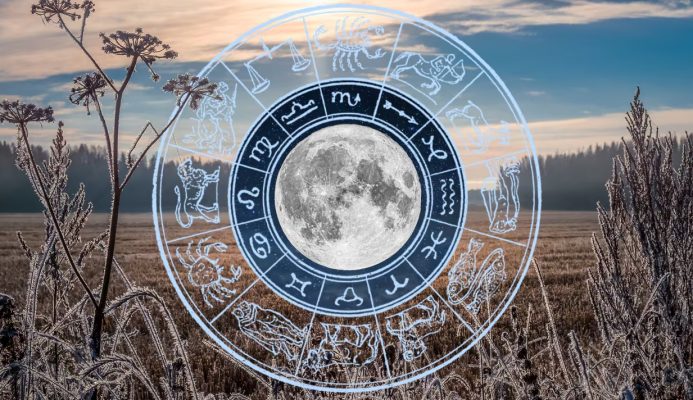 Hëna e Plotë e 5 nëntorit sjell tension në financa dhe nxjerr hapur sekretet, shenjat që preken