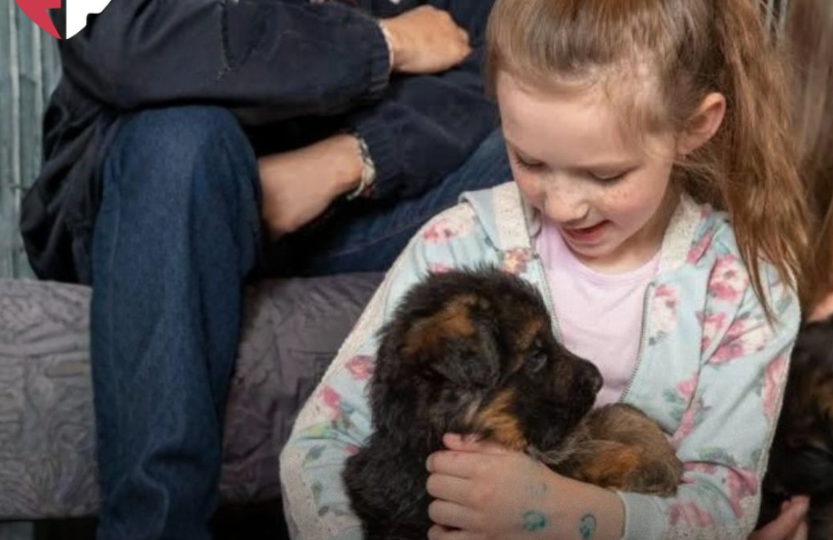 Danimarka me ligj të veçantë  fëmijët nga mosha 6 deri në 16 vjeç duhet të mësojnë në shkolla kujdesin ndaj kafshëve