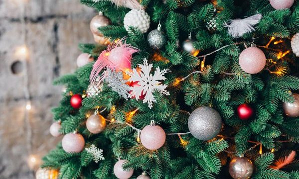 Çfarë thotë shkenca për ata që e vendosin herët pemën e festave