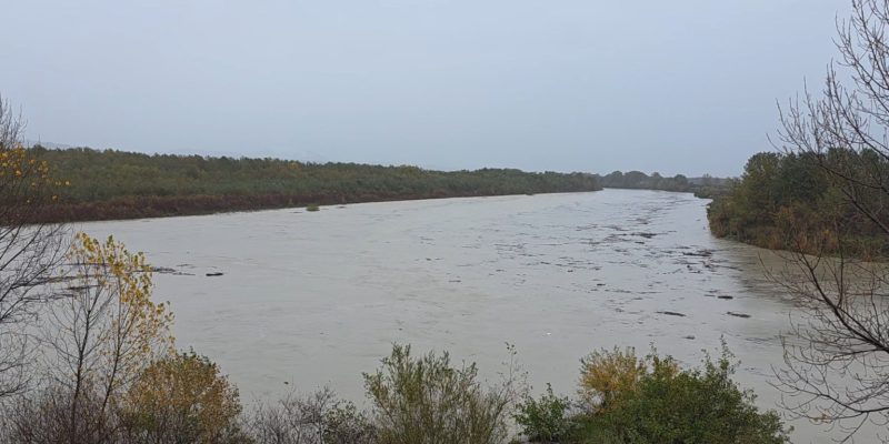 Rriten prurjet e Vjosës, rrezik përmbytjesh në disa fshatra të Fierit, apel për evakuimin e kafshëve