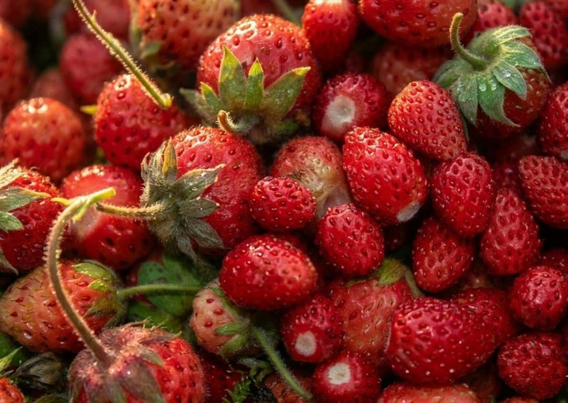 3-keshilla-per-te-ulur-konsumin-e-sheqerit-dhe-per-te-qetesuar-sistemin-nervor