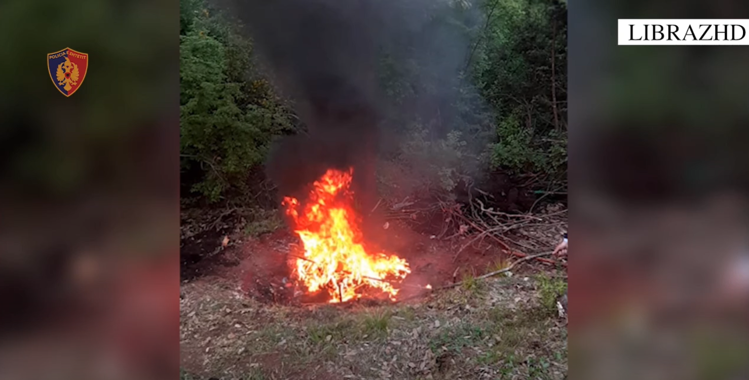 zbulohen-parcela-me-kanabis-ne-librazhd-arrestohen-dy-persona