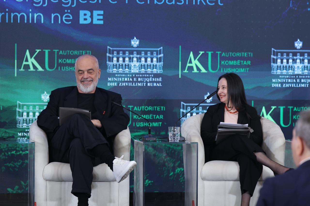 Ekspertë të BE kanë inspektuar bizneset në Shqipëri  Rama  Thertoret problem 