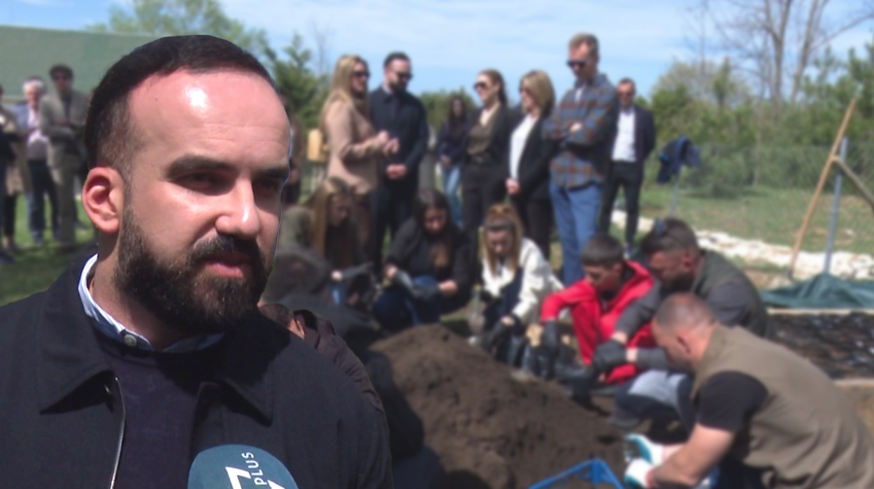 BE jep 16 milionë euro për pyjet   projekti i ripyllëzimit nis nga mali i Dajtit  do të shtrihet në të gjithë vendin