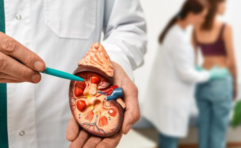 nga-se-krijohen-guret-ne-veshka