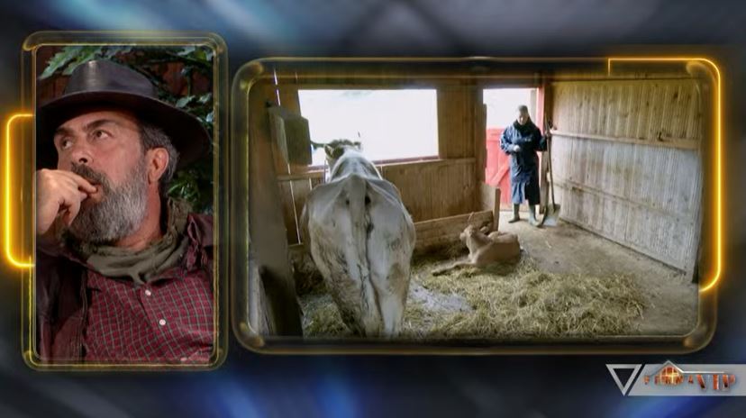 perkushtim-per-kafshet-dhe-punet-e-fermes-agai-u-jep-super-avantazh-6-fermereve