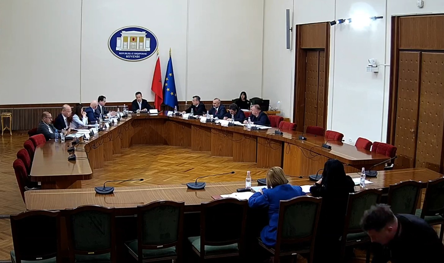 Nis puna për  rregulloren   PD kundër miratimit të ligjeve të integrimit me procedurë të përshpejtuar