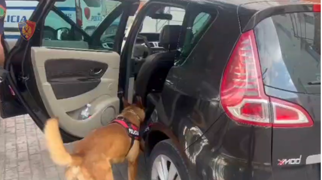 Shisnin kokainë nëpër qytet  goditet grupi kriminal në Berat  3 të arrestuar dhe 1 në arrest shtëpie