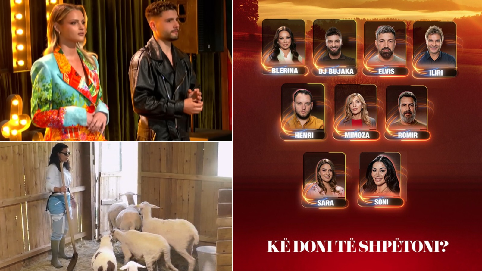 shtohen-perplasjet-ne-ferma-vip-debate-dhe-refuzim-per-kujdesin-ndaj-kafsheve