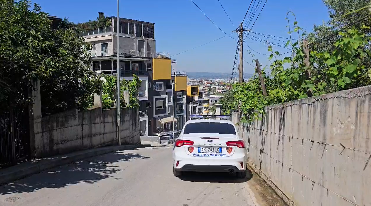 Vijon saga e hakmarrjeve  Dy vëllezërit Lika në kërkim për plagosejn e efektivit  tritoli në marketin e babait të tyre