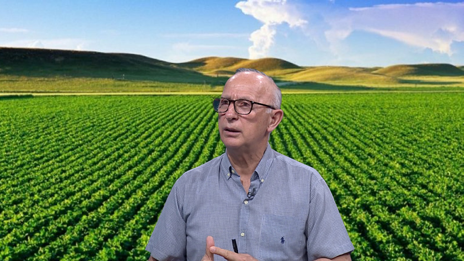 Të huajt do të blejnë tokë bujqësore shqiptare  Ja kush është risku
