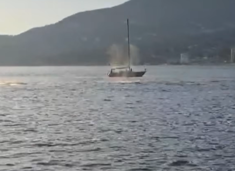Jet ski përplaset me një balenë gri në Vankuver  plagoset drejtuesi