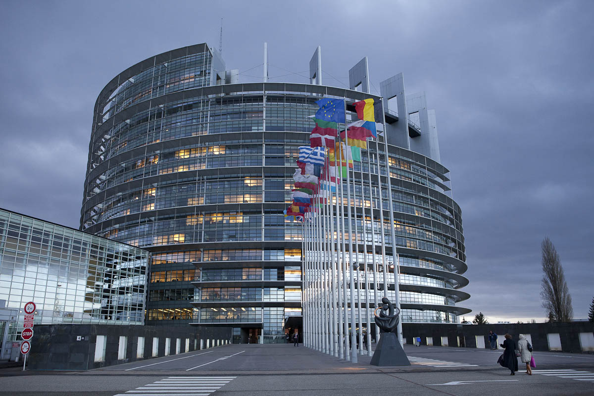 progres-me-ibar-coela-vendos-te-enjten-keshilli-europian-reagon-per-vizion-plus
