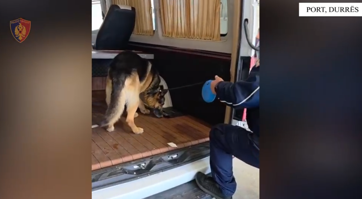 Tentoi të trafikonte fara Cannabisi në Shqipëri  kapet në kufi 24 vjeçari