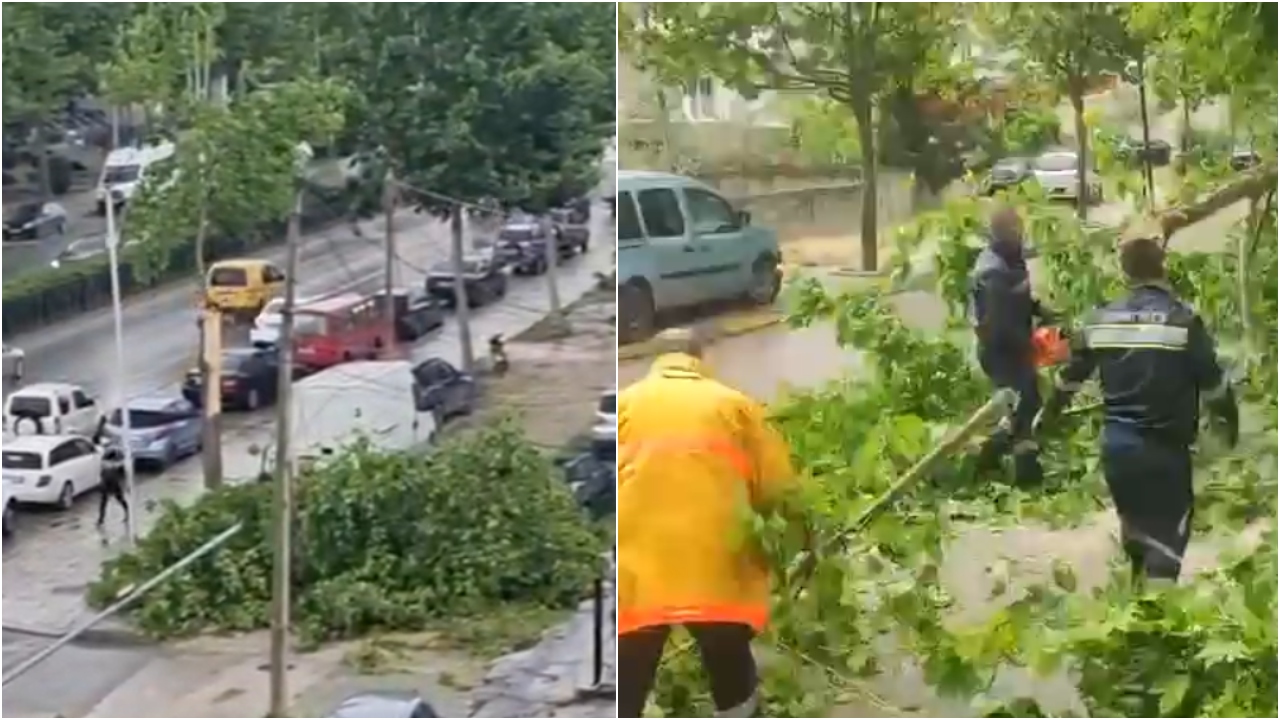 Era e fortë shkakton probleme në Vlorë  rrëzohen pemët dhe bllokojnë rrugët