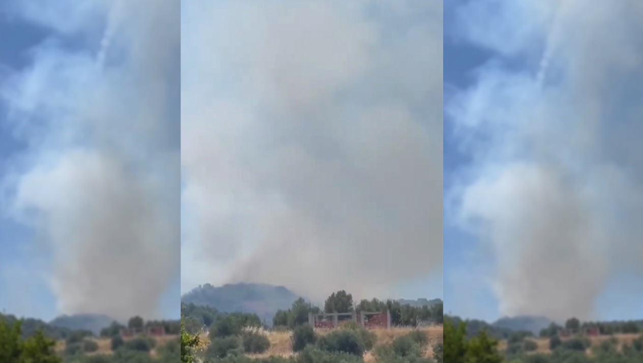 Zjarr në Llakatund të Vlorës  flakët përhapen me shpejtësi nga era e fortë