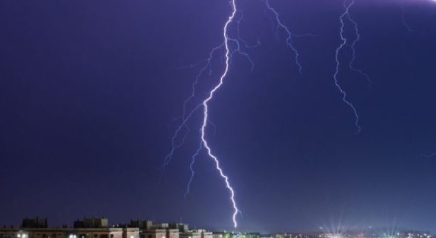 Rrufeja godet një pemë në një park në Suedi  plagosen 10 persona