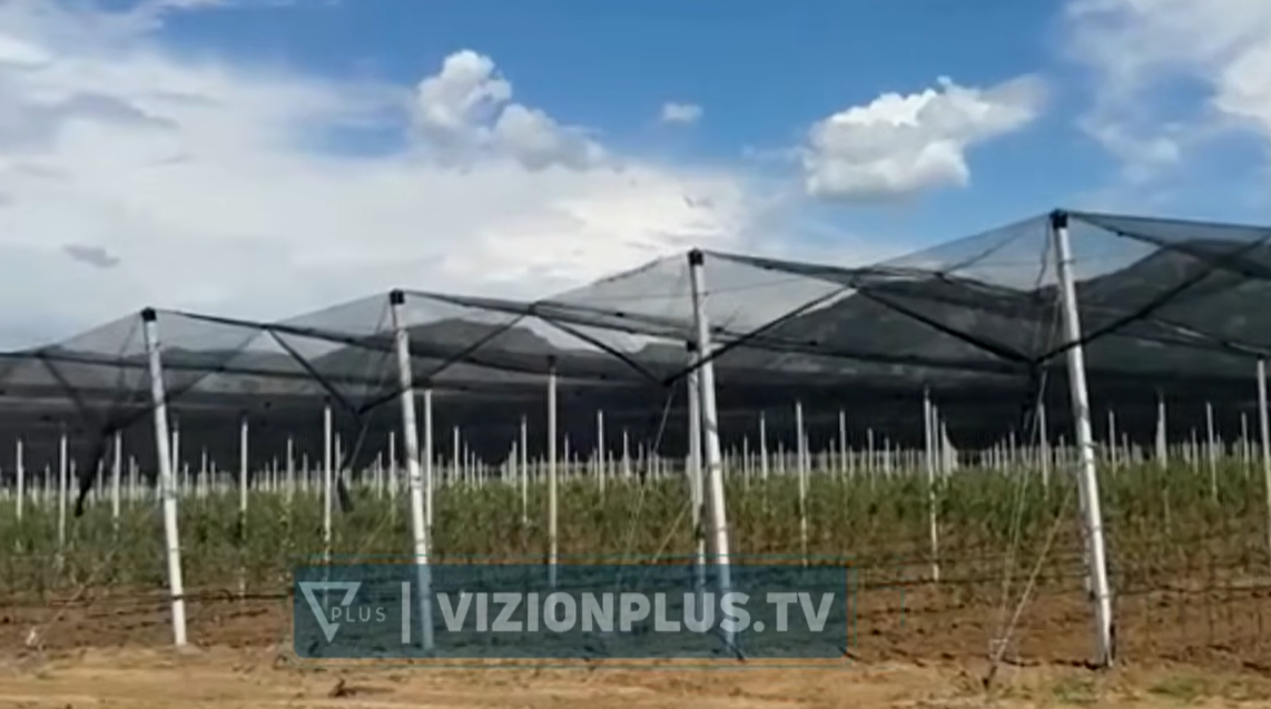 Juglindja  vuan  për punëtorë  mungesa të mëdha sidomos në punët e bujqësisë dhe blegtorisë