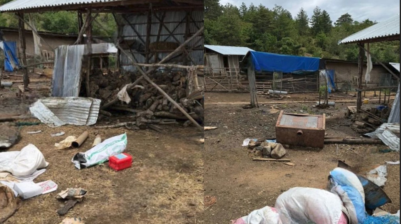 Foto Video  Brenda stanit ku fshihej Violand Braçellari  vendi i pyllëzuar ku mbeti i vrarë një polici dhe një tjetër u plagos