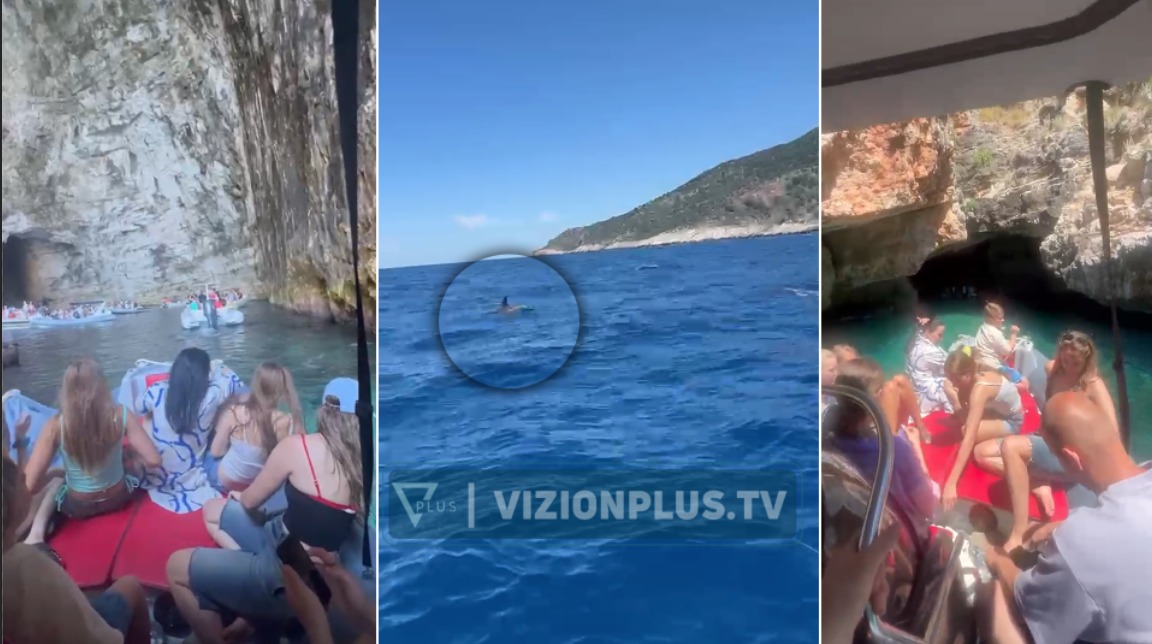 Delfinët surprizojnë turistët në ujërat e zonës Karaburun Sazan