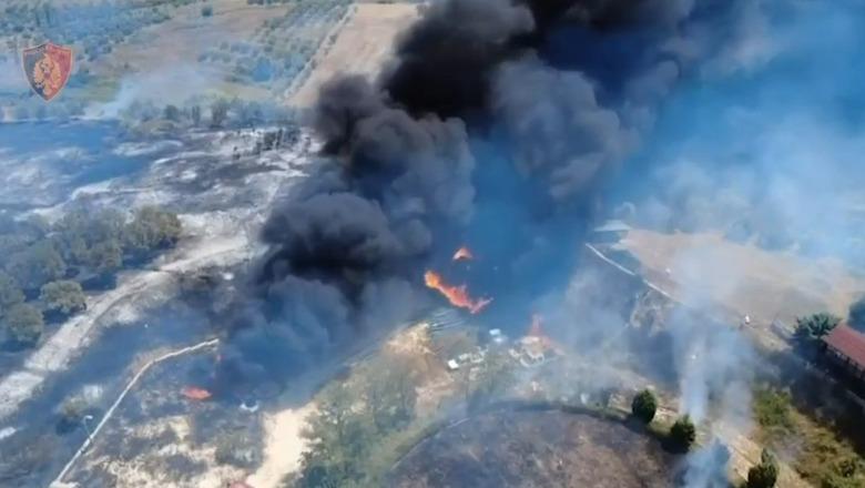 Zjarri në Drizë të Fierit  arrestohet autori 20 vjeçar  po digjte barishte në tokën e babait