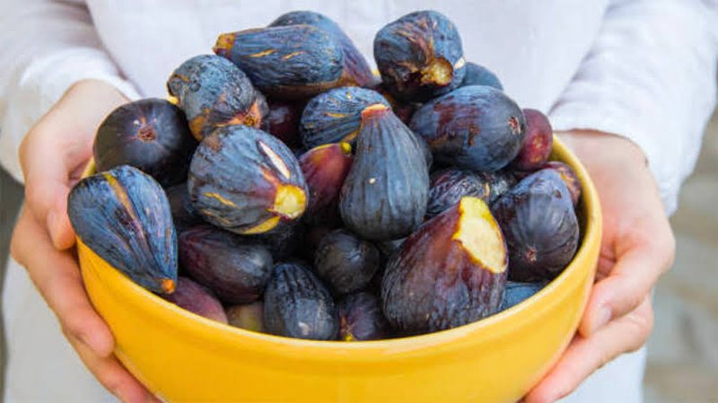 Konsumi i fiqve  vlerat ushqyese nga fruti i shijshëm i sezonit