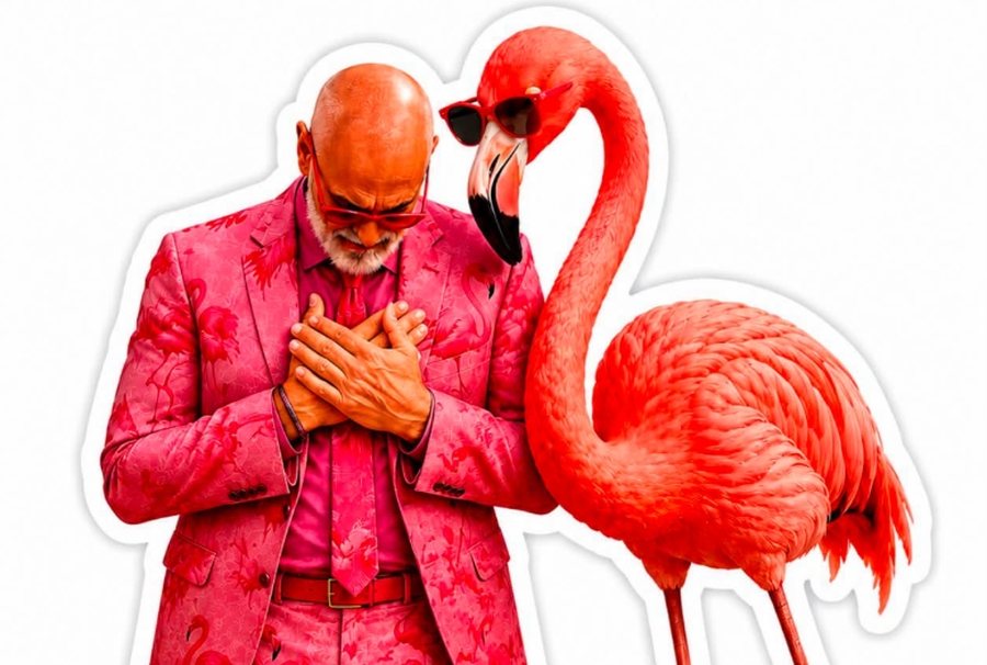 Kryeministri Rama feston 62 vjetorin  publikon foton me flamingo  Faleminderit për urimet dhe për sharjet 