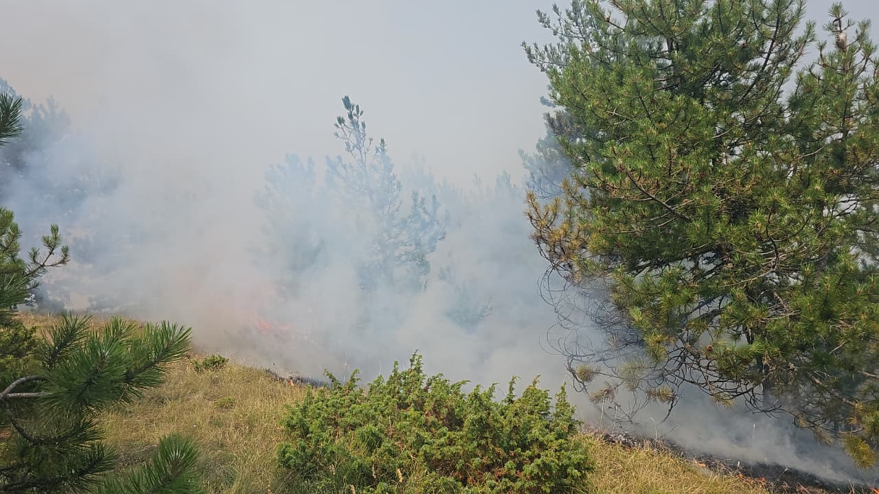 Riaktivizohet zjarri mes Lekasit dhe Voskopojës  pritet ndërhyrja e ushtrisë