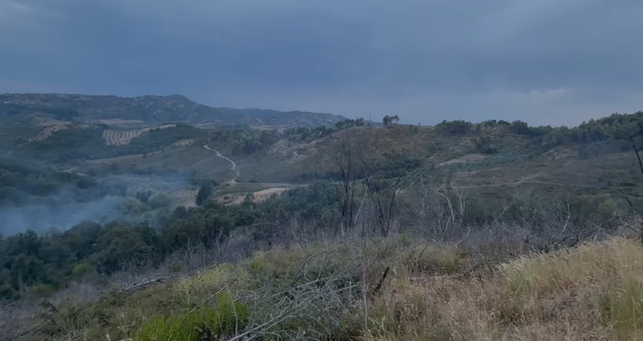 Fier  Zjarr në kodrat e Peshtanit  ndërhyrja e zjarrfikësve vë nën kontroll flakët