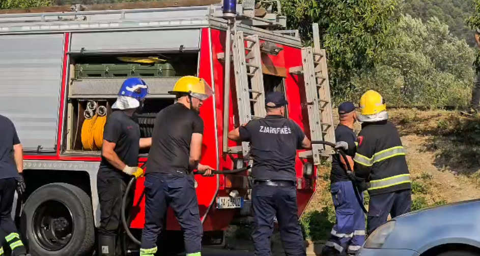 Përfshihet nga flakët një sipërfaqe toke në Elbasan  dëgjohen shpërthime  dyshohet për fishekë