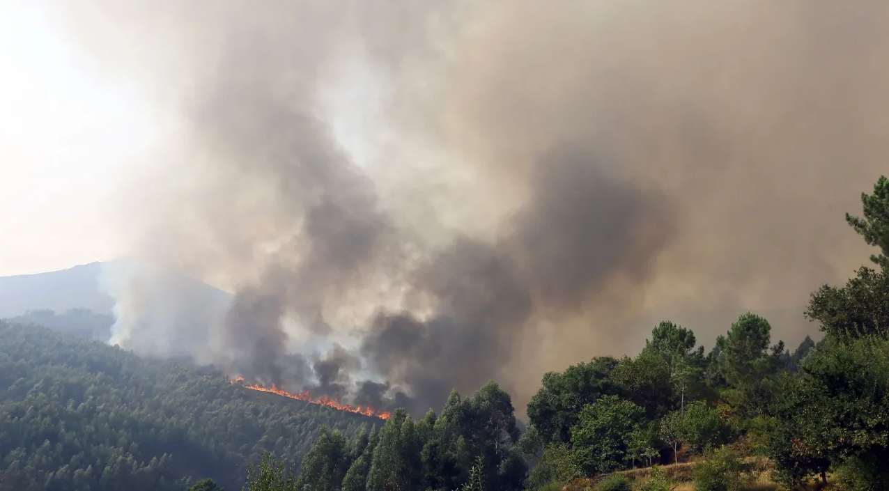Flakët përfshijnë Portugalinë  800 zjarrfikës në betejë me zjarrin  Evakuohen banorët