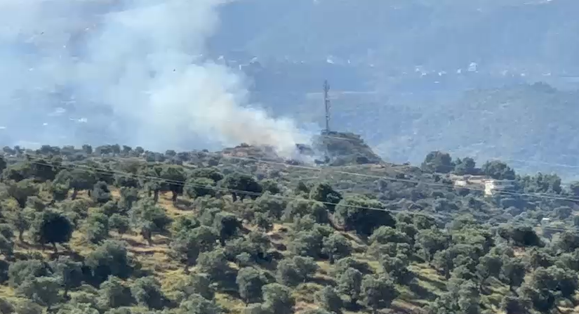 zjarr-ne-lagjen-15-tetori-ne-vlore-perfshihet-nga-flaket-nje-siperfaqe-me-pisha-dhe-shkurre