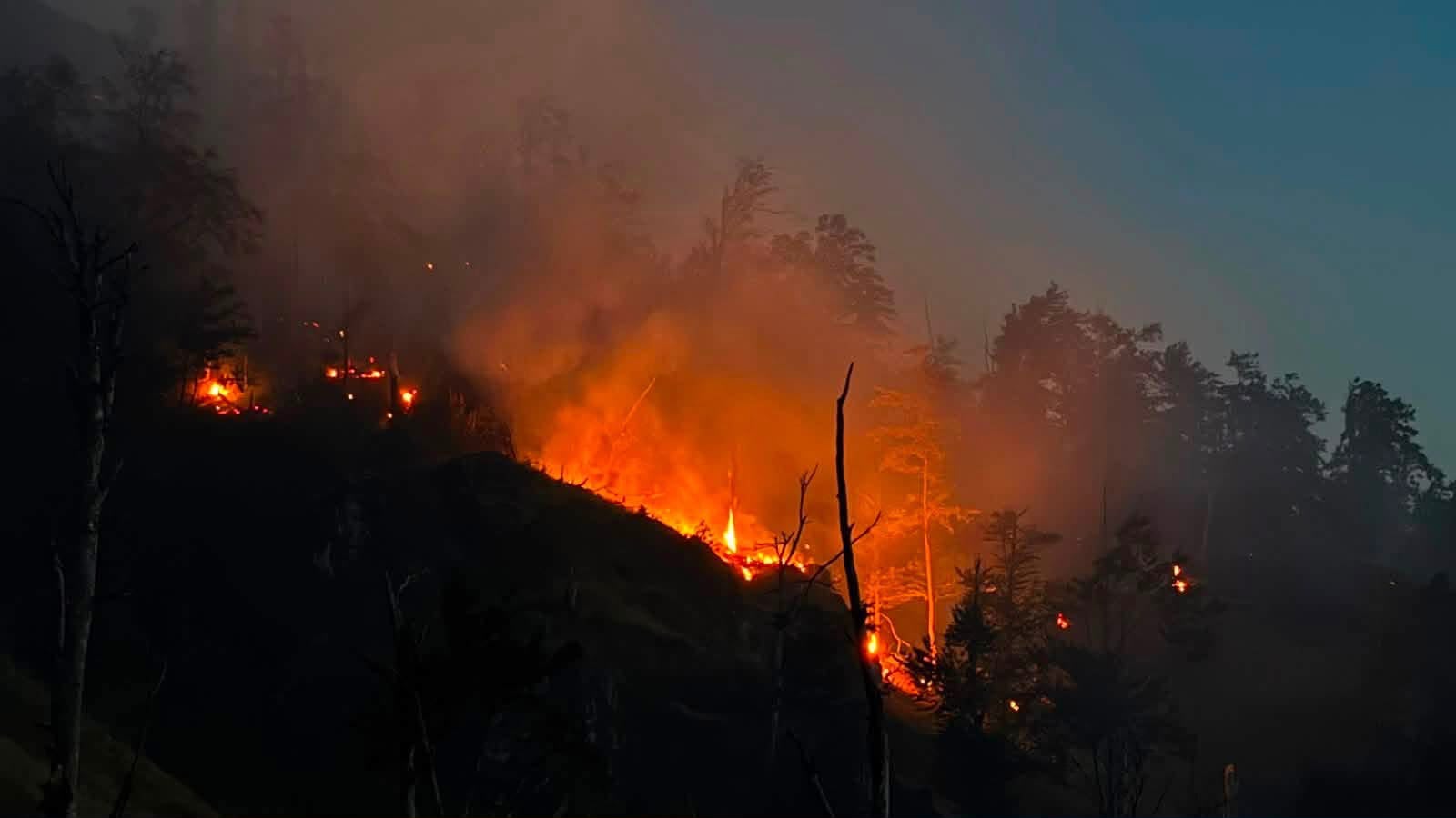 zjarr-masiv-ne-gjirokaster-flaket-rrezikojne-te-perhapen-drejt-dy-fshatrave-terren-i-veshtire-per-zjarrfikesit