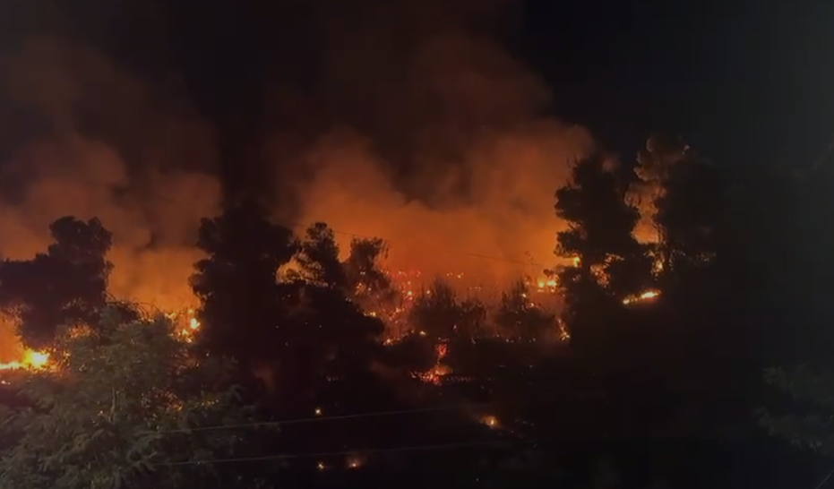 Zjarr në Shëngjin  flakët i afrohen rrugës kryesore