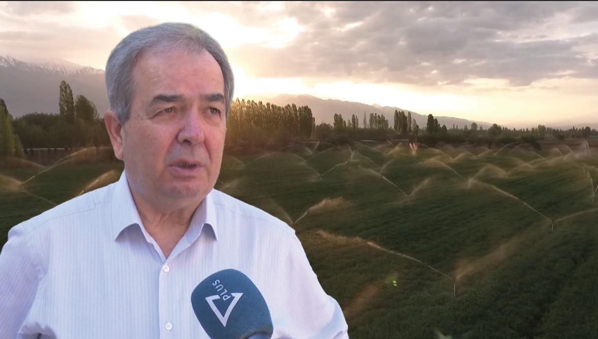 Mbështetja për sektorin e bujqësisë  ekspertët e konsiderojnë pozitive nismën  Dyfisho biznesin tënd 