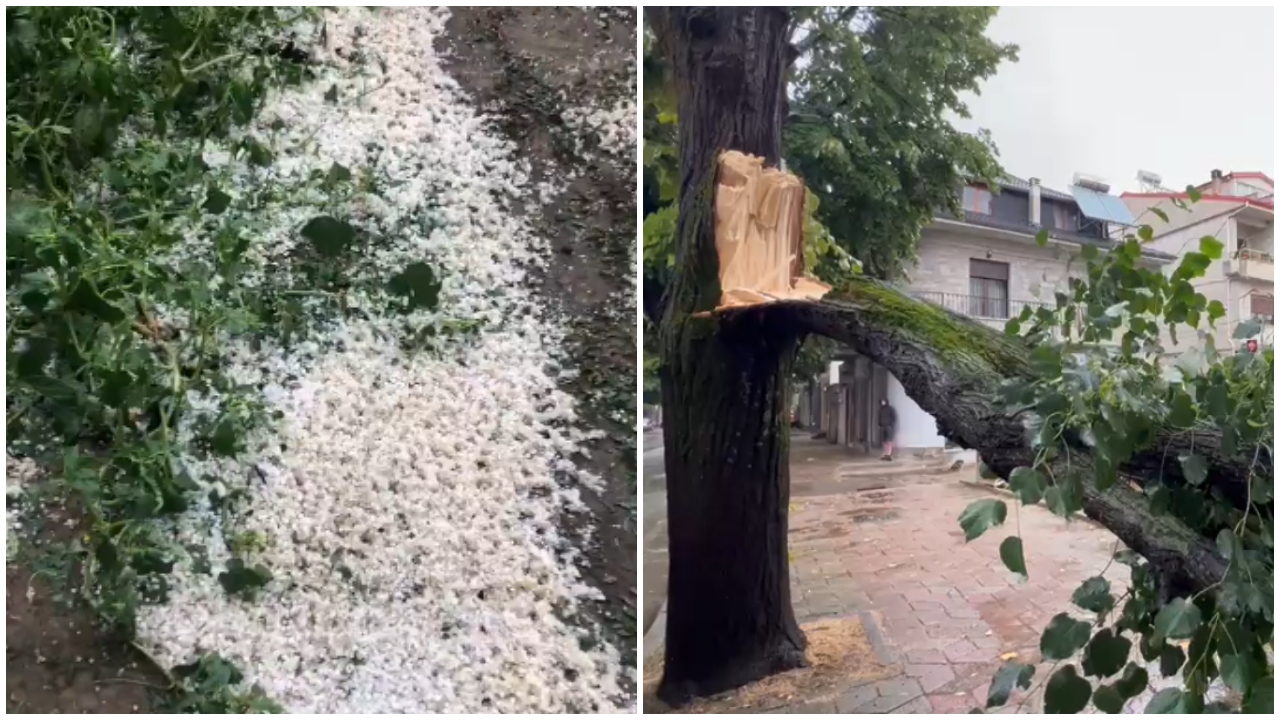 Stuhi e fortë në Korçë  breshëri dëmton të mbjellat në Devoll  era rrëzon pemët në bulevard