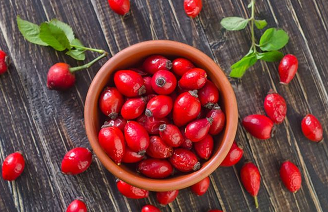 trendafili-i-eger-fruti-i-pasur-me-vitamine-c-qe-forcon-imunitetin-dhe-permireson-shendetin