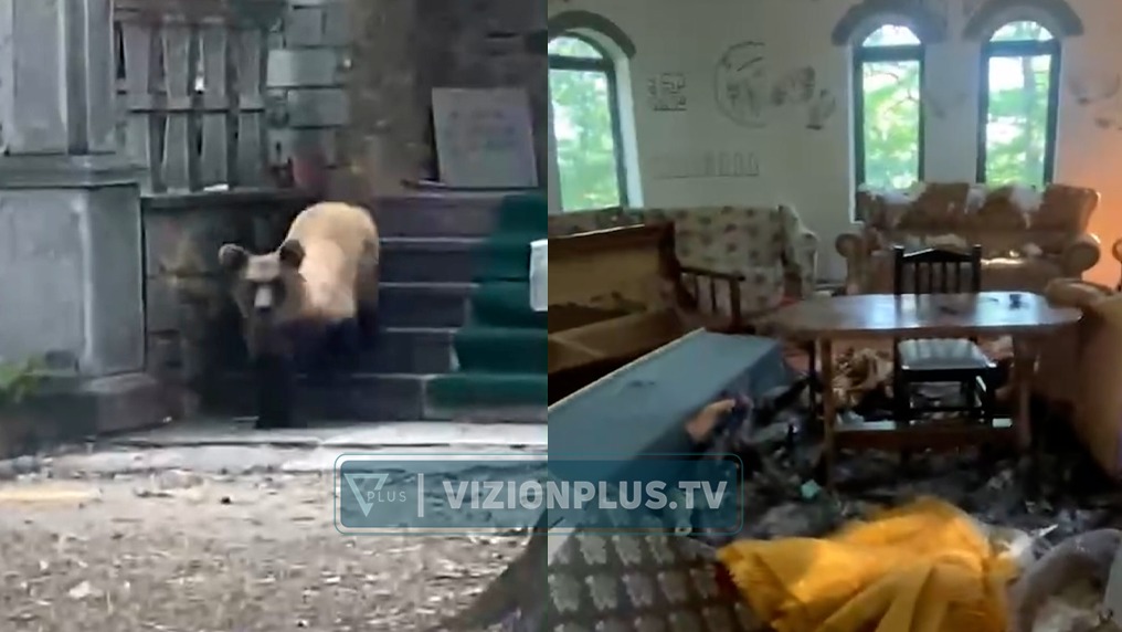 Ariu hyn në vendin e shenjtë në Dobërgorë  shkakton dëme