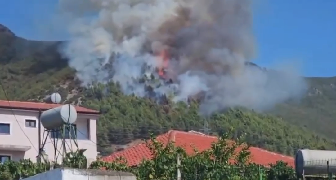Pas 24 orësh luftë me flakët  shuhet zjarri në malin e Milotit